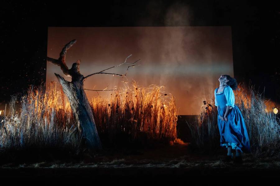 The setting is a woman dressed in period costume looking distressed whilst behind her the field is illuminated by a warm glow.